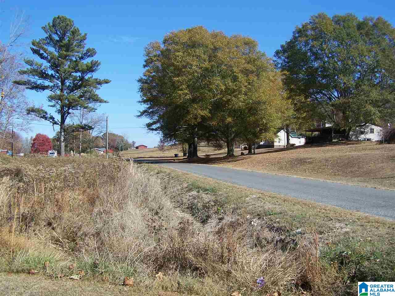3383 County Road 42 Oneonta, AL 35121 - Photo 18 of 49