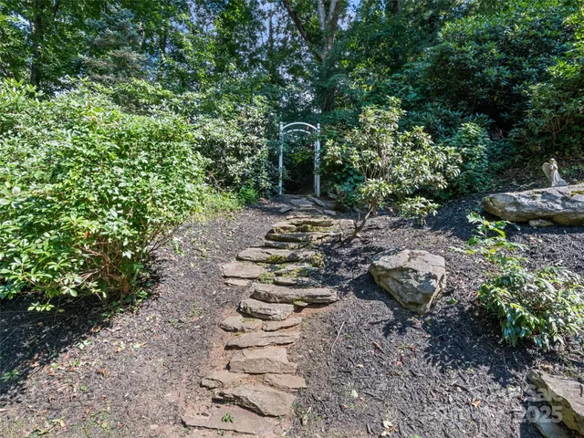 a view of a forest with trees