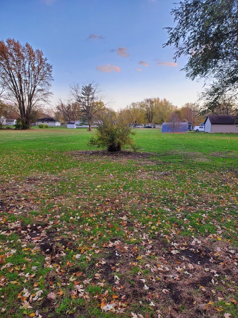461 West Cermak Road Braidwood, IL 60408 - Photo 3 of 15 a view of a field with large trees