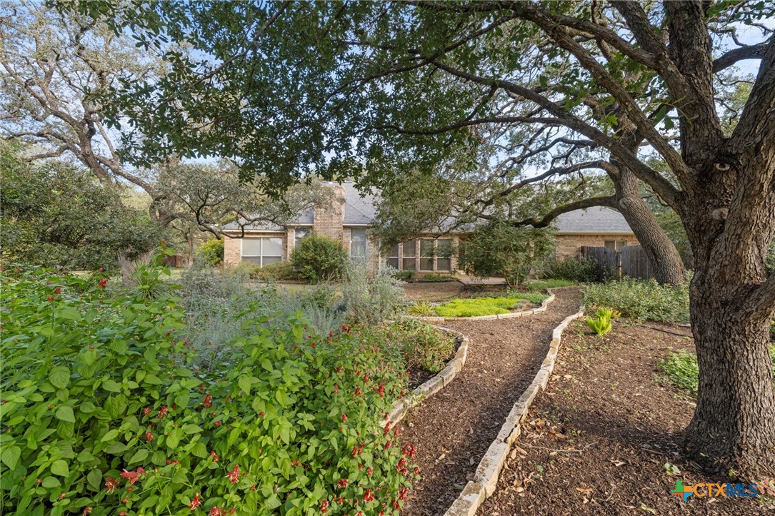 707 Livingston Court Temple, TX 76502 - Photo 33 of 36 a view of a yard with large trees