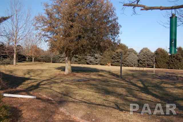 19202 North Rice Road Princeville, IL 61559 - Photo 29 of 31 Gallery Image 29