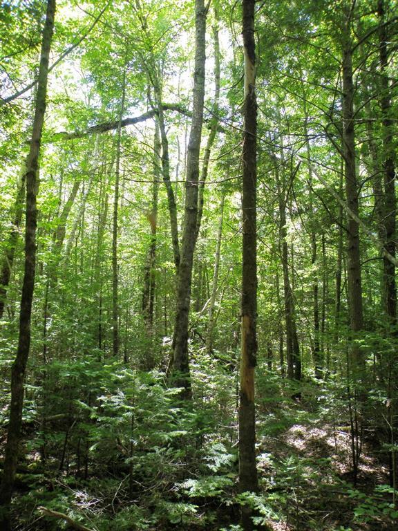 72 West Old Main Road Burlington, ME 04417 - Photo 4 of 17 Photo