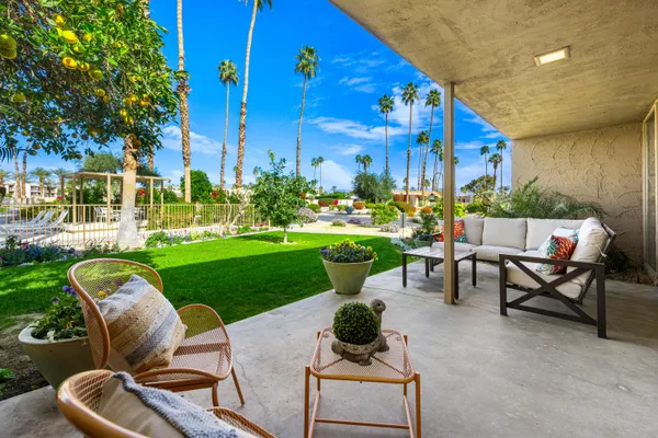a view of a patio with couches and a potted plants