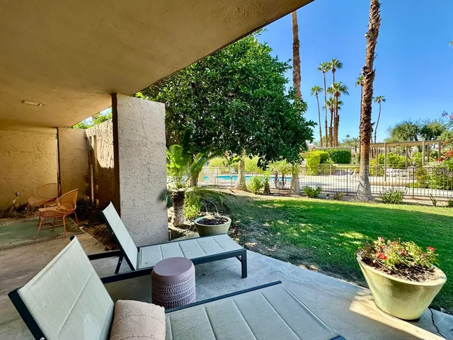 a view of a patio with lawn chairs potted plants and palm tree