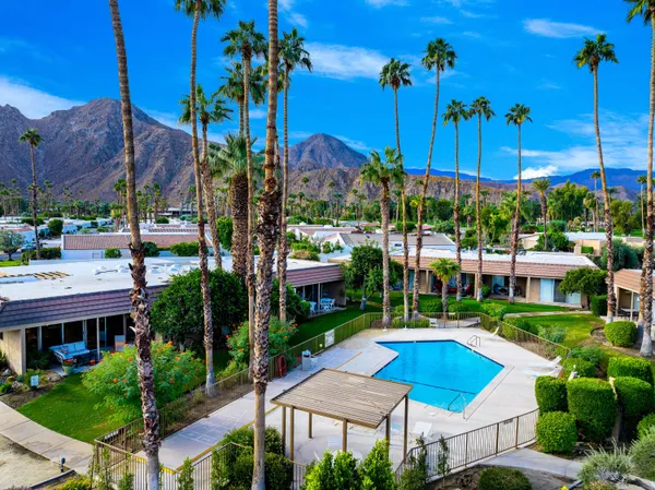 a living room with couches potted plants and a large window