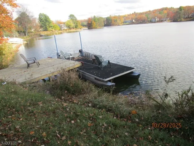 a street view with large trees