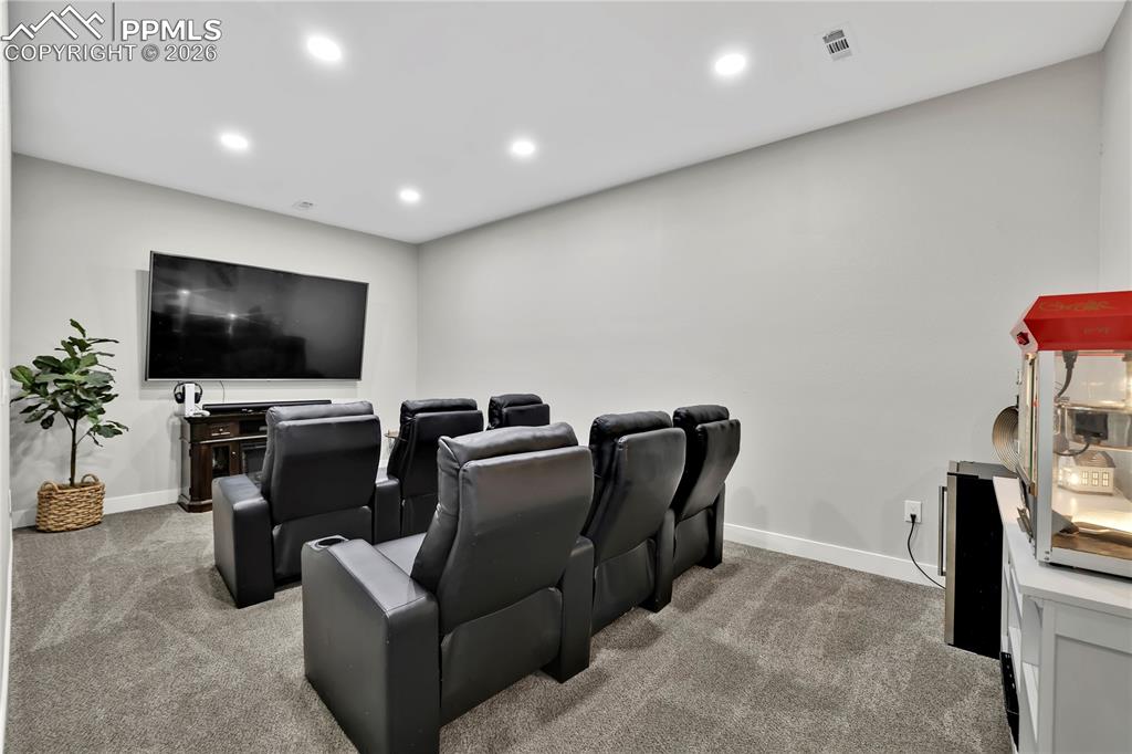 18135 Spur Ranch Road Peyton, CO 80831 - Photo 29 of 50 Theater Room/Flex Space