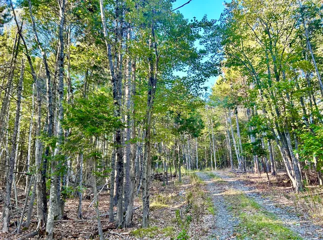 $58,500 | 11 Map Road, Sangerville, ME 04479