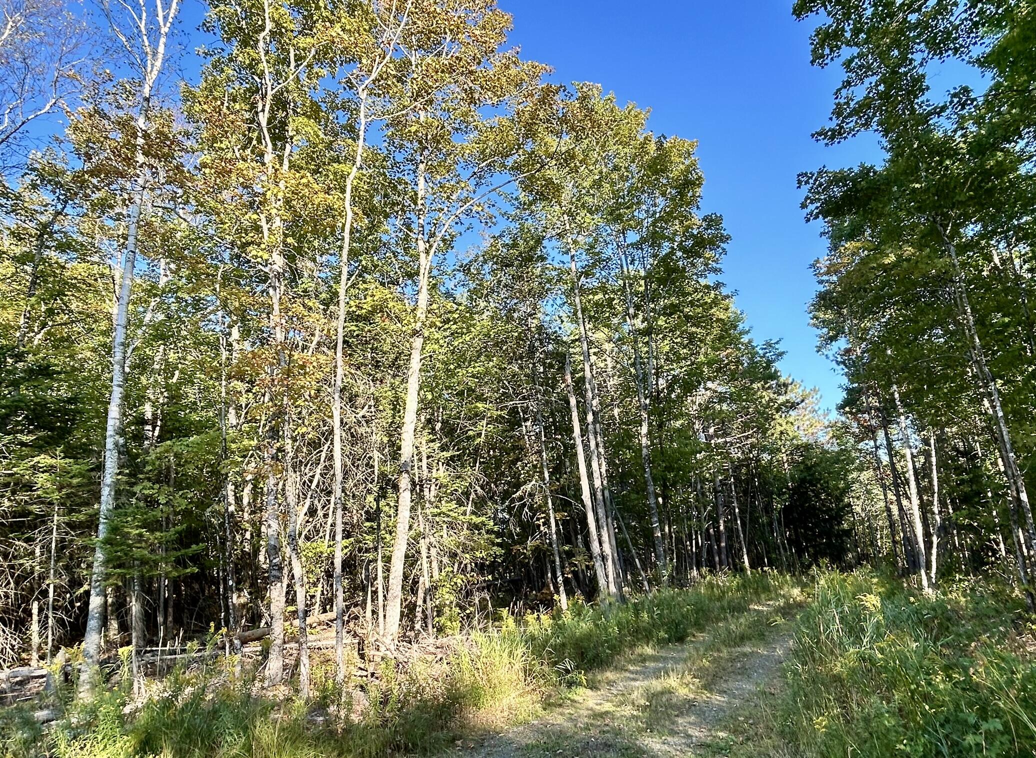 11 Map Road Sangerville, ME 04479 - Photo 18 of 24 IMG_6262