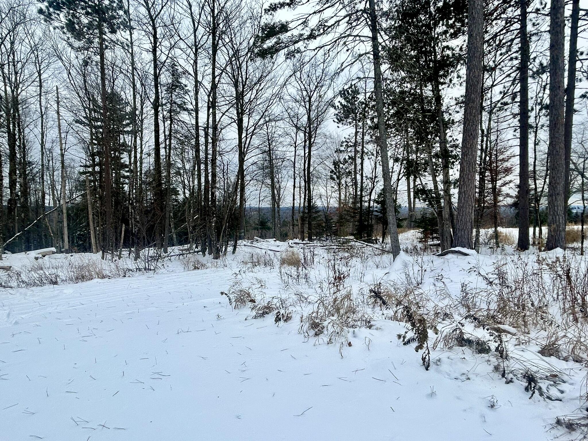 11 Map Road Sangerville, ME 04479 - Photo 3 of 24 IMG_8207