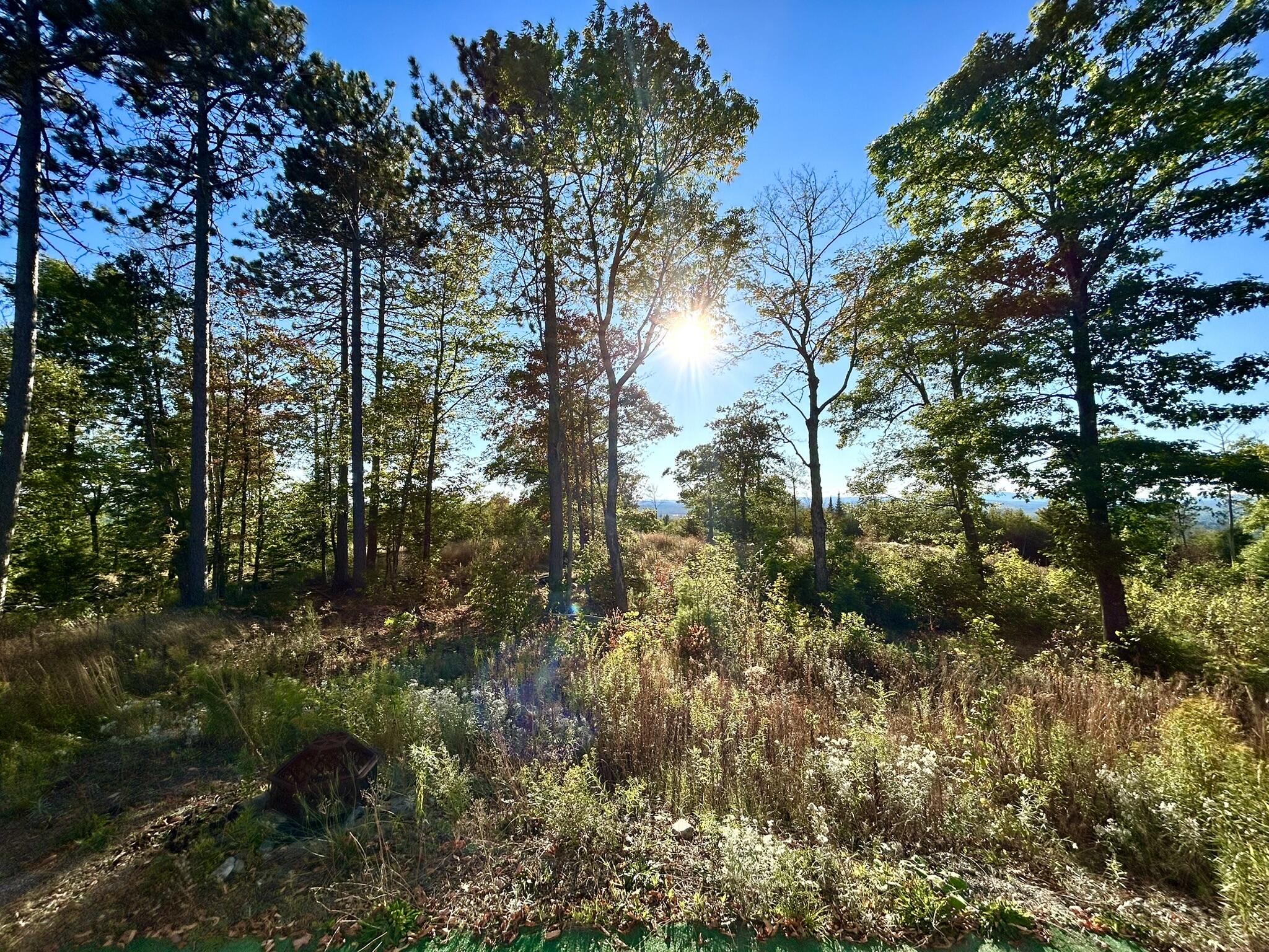 11 Map Road Sangerville, ME 04479 - Photo 9 of 24 IMG_6257