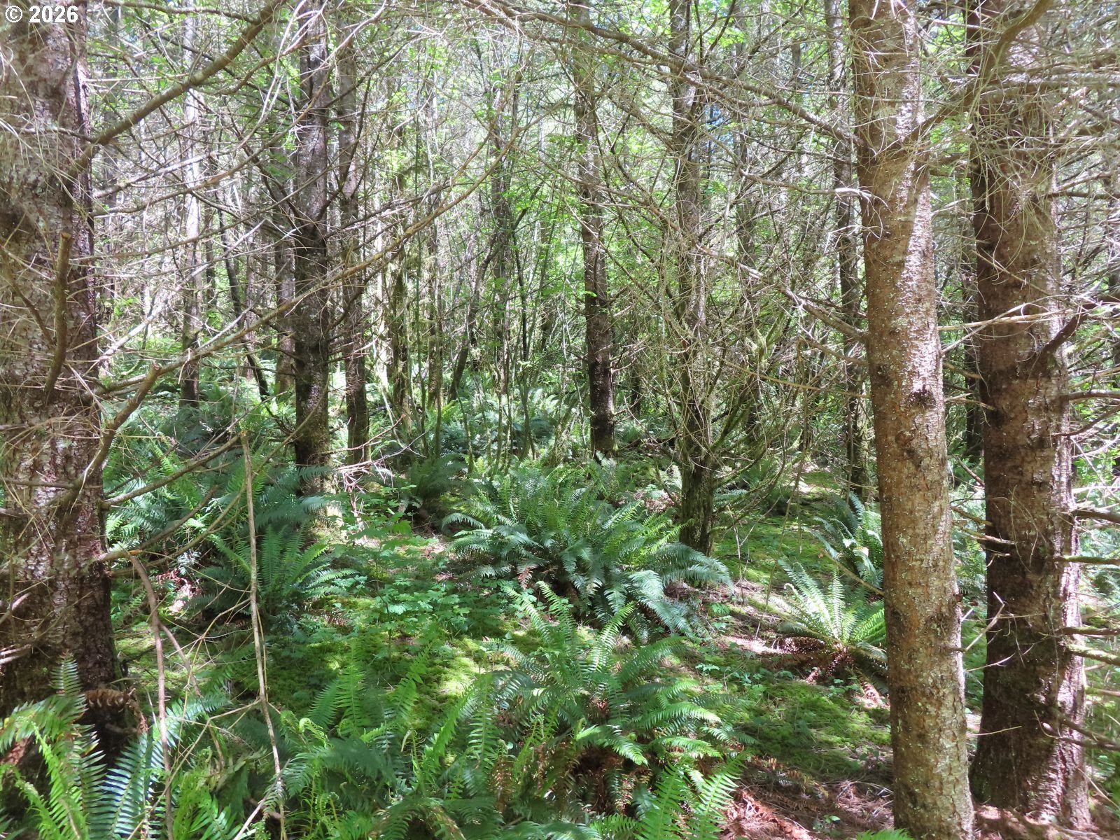 Hockett Road Onalaska, WA 98570 - Photo 24 of 29
