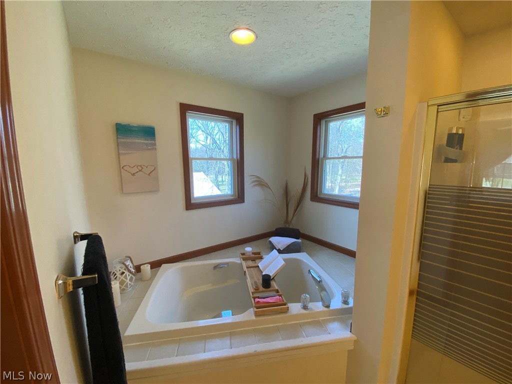 4487 Ammon Road Cleveland, OH 44143 - Photo 18 of 29 Master Suite Spa