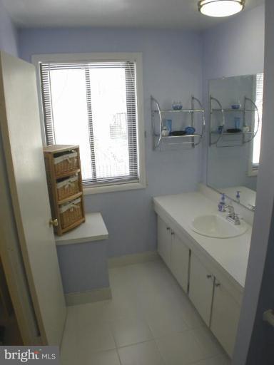 11820 Grey Birch Place Reston, VA 20191 - Photo 11 of 20 a bathroom with a sink a toilet and tub
