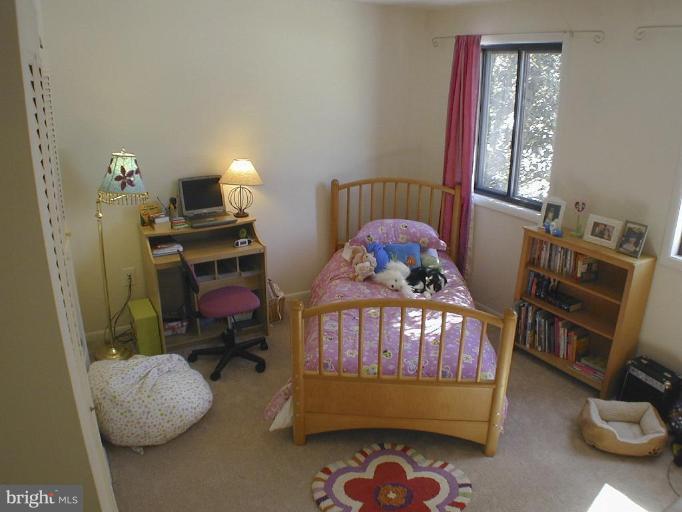 11820 Grey Birch Place Reston, VA 20191 - Photo 12 of 20 a bedroom with furniture and a window