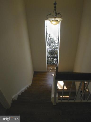 11820 Grey Birch Place Reston, VA 20191 - Photo 15 of 20 a view of an empty room and window