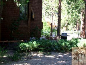 25140 Fern Valley Road Idyllwild, CA 92549 - Photo 2 of 6 a front view of a house with plants and trees