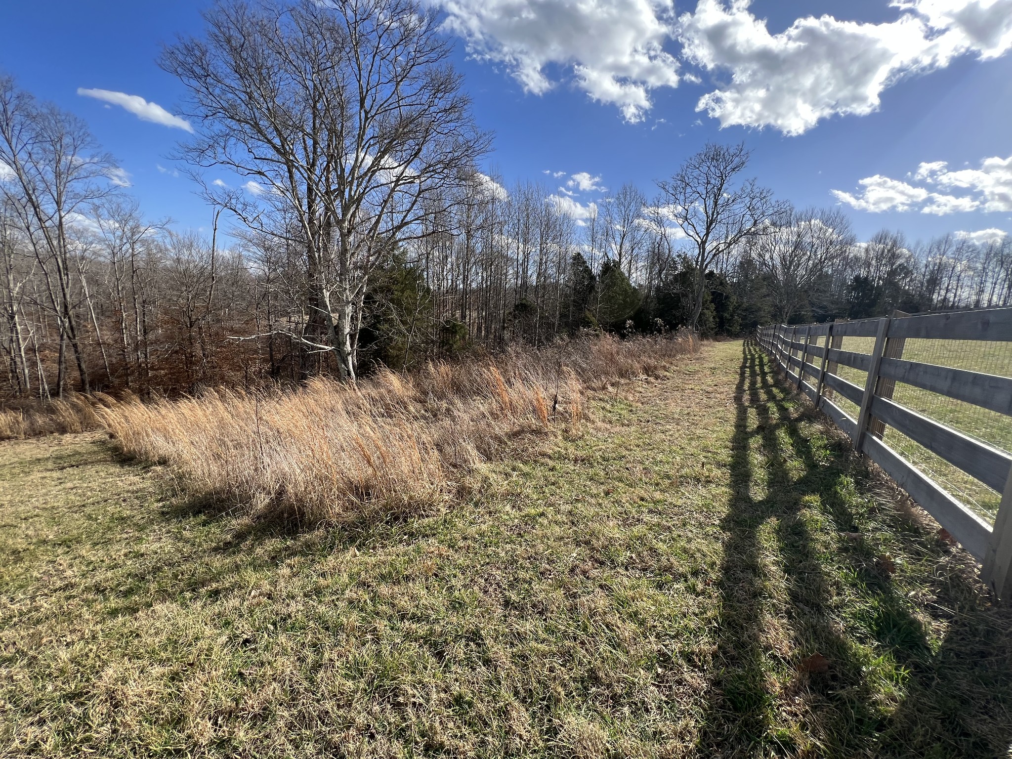 1951 Oak Grove Road Red Boiling Springs, TN 37150 - Photo 60 of 60 a view of a yard with a tree