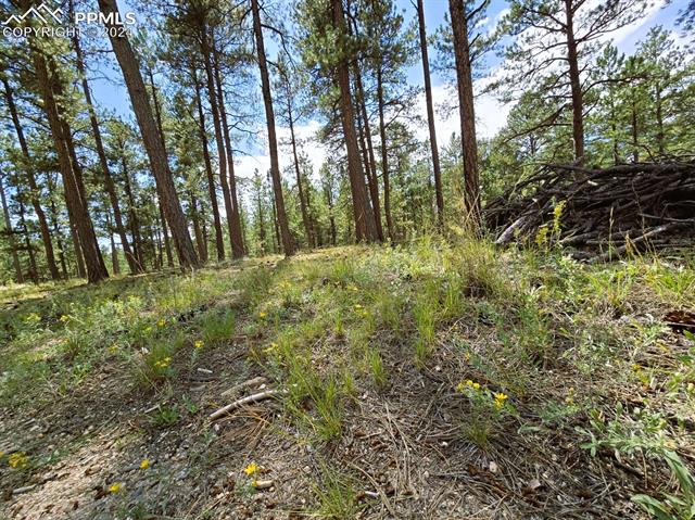 0 Meridian Road Colorado Springs, CO 80908 - Photo 11 of 21