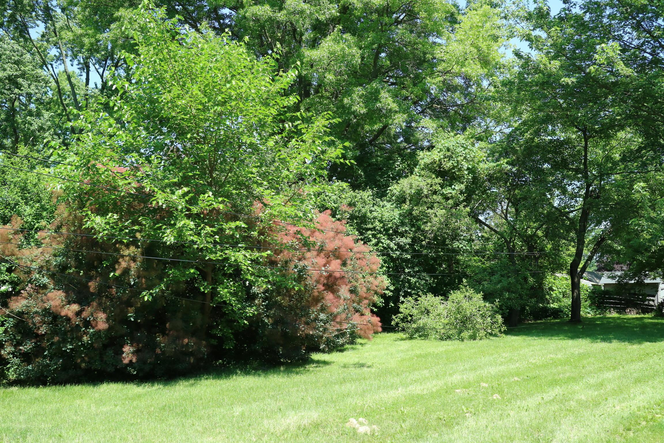 2110 Case Road Columbus, OH 43224 - Photo 5 of 5
