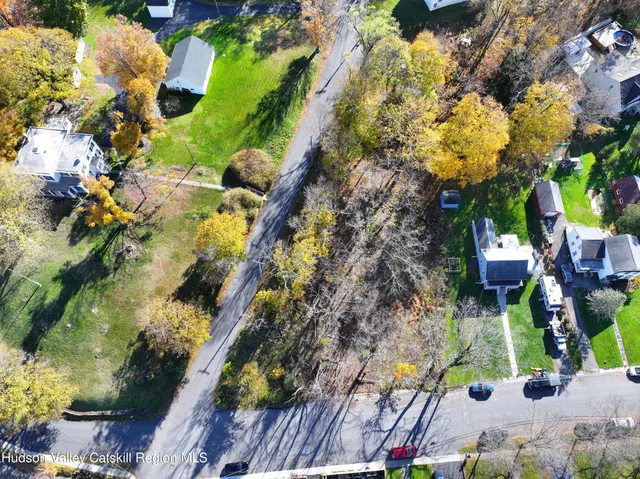 a view of a yard with trees