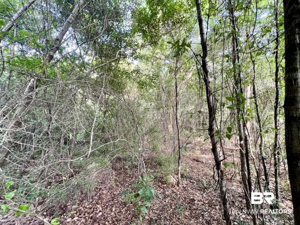 0 Country Rd Mount Mount Vernon, AL 36560 - Photo 11 of 15