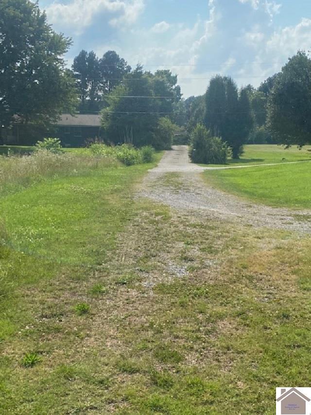 0 Slaughter Road Benton, KY 42025 - Photo 4 of 4 125832-A23F1467-BE97-4F2F-8C33-81EAEF43C