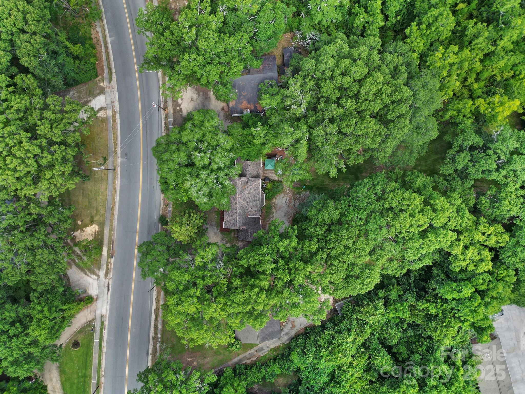 504 Chesterfield Avenue Lancaster, SC 29720 - Photo 22 of 24 an outdoor space with plants and tree