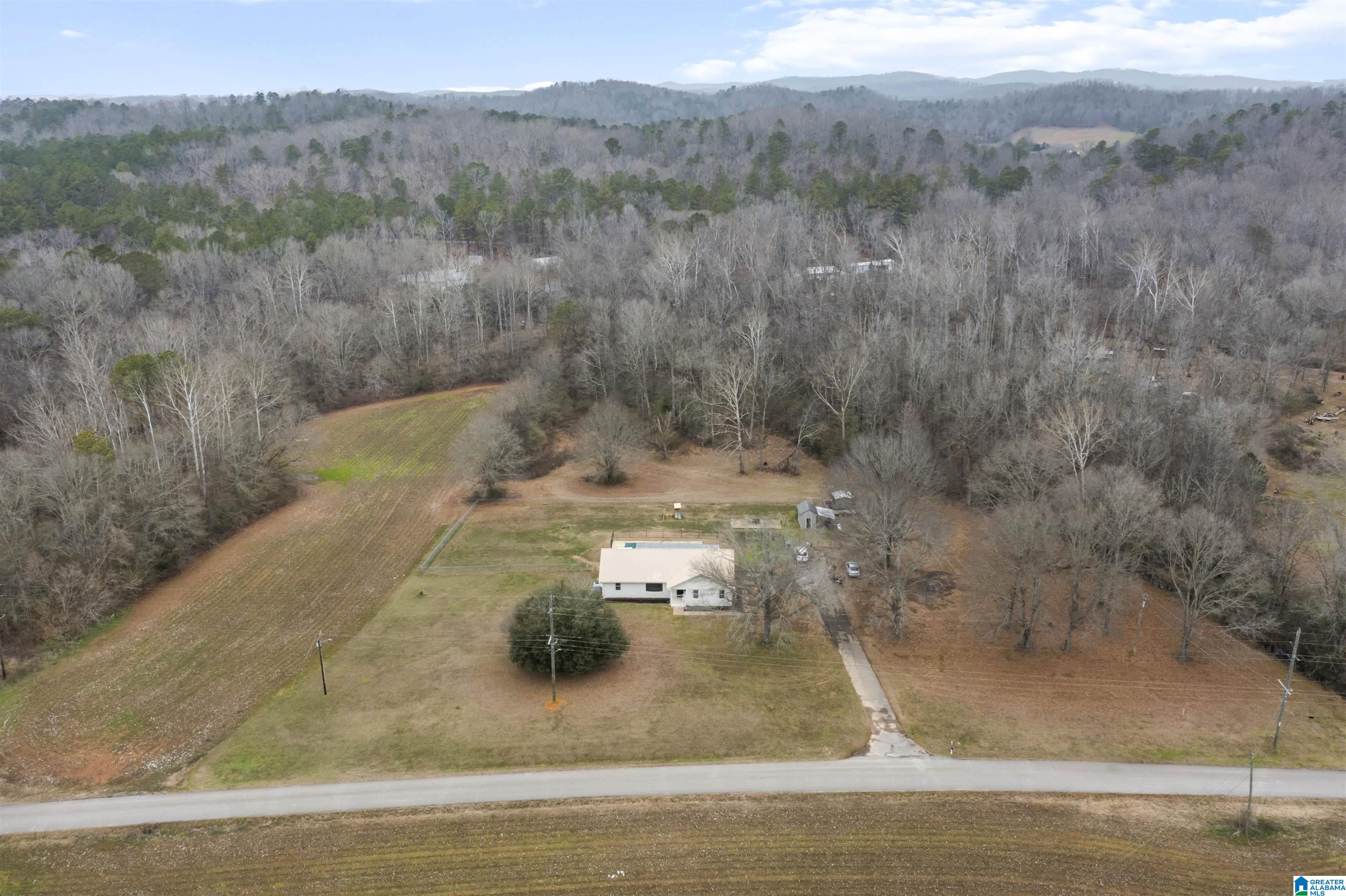 1695 Century Road Piedmont, AL 36272 - Photo 37 of 41 Gallery Image 37