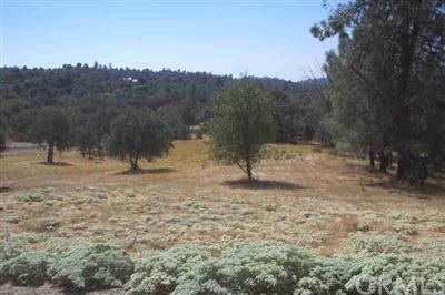 3347 Wildcat Springs Road Mariposa, CA 95338 - Photo 1 of 1 Gallery Image 1