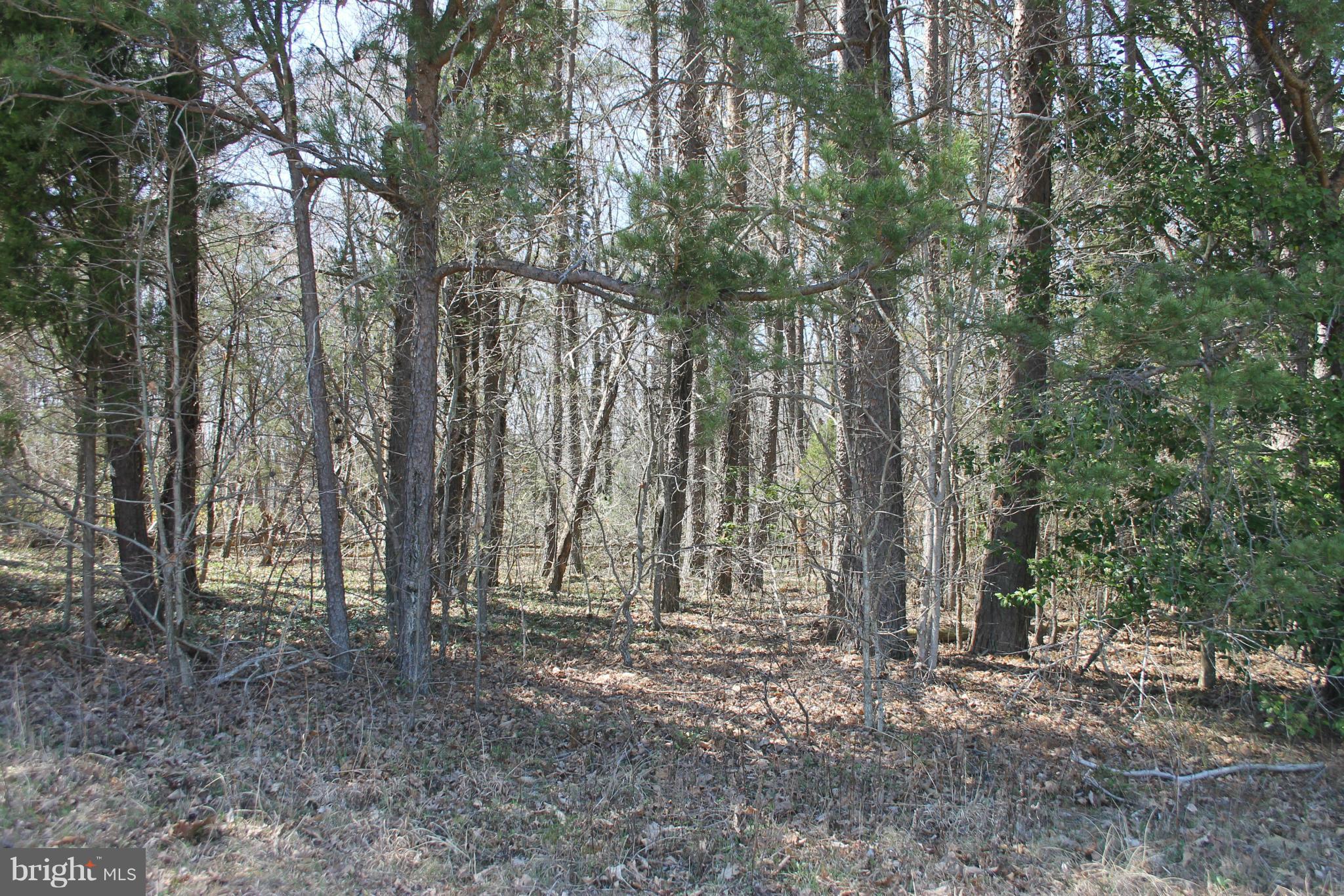 Union Church Road Sumerduck, VA 22742 - Photo 13 of 13 Exterior (General)