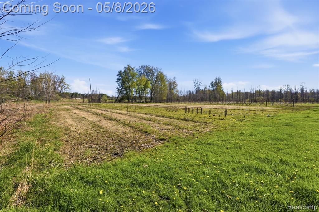 2905 South Plain Road Caro, MI 48723 - Photo 50 of 50