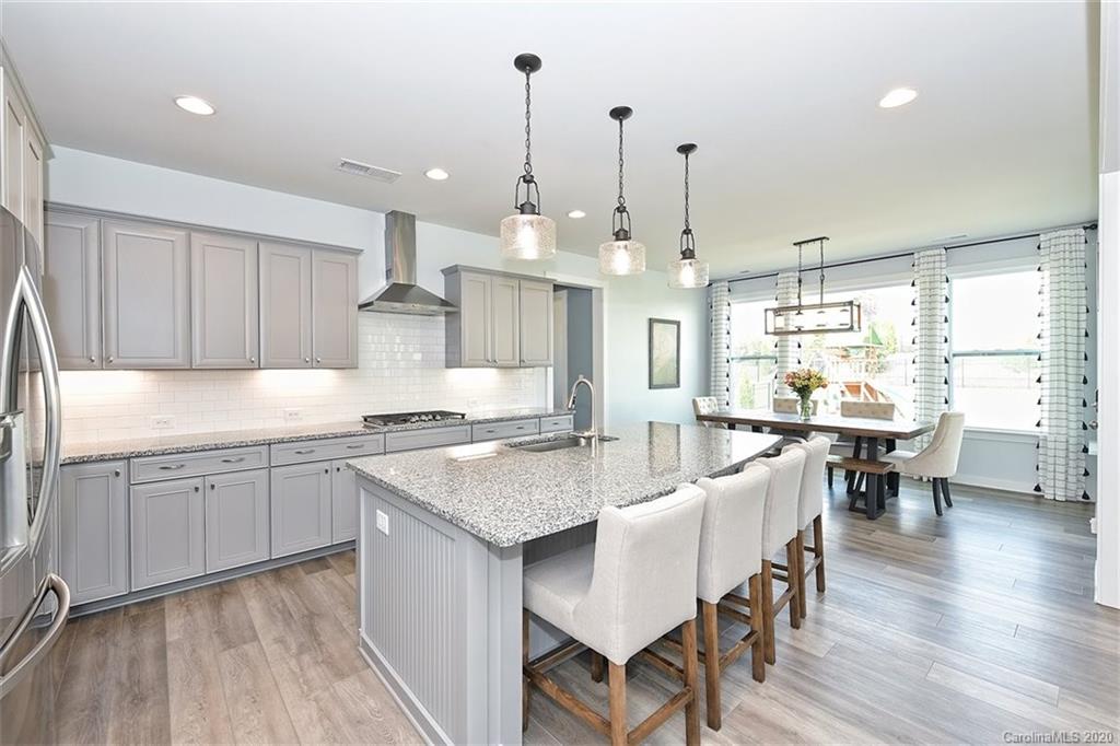 379 Sensibility Circle Fort Mill, SC 29708 - Photo 9 of 48 Gallery Image 9