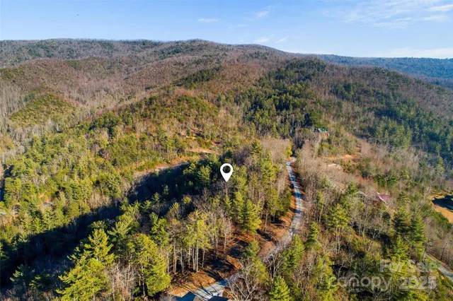 a view of a bunch of trees and mountains