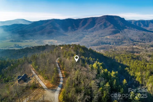 a view of a lake in middle of the forest