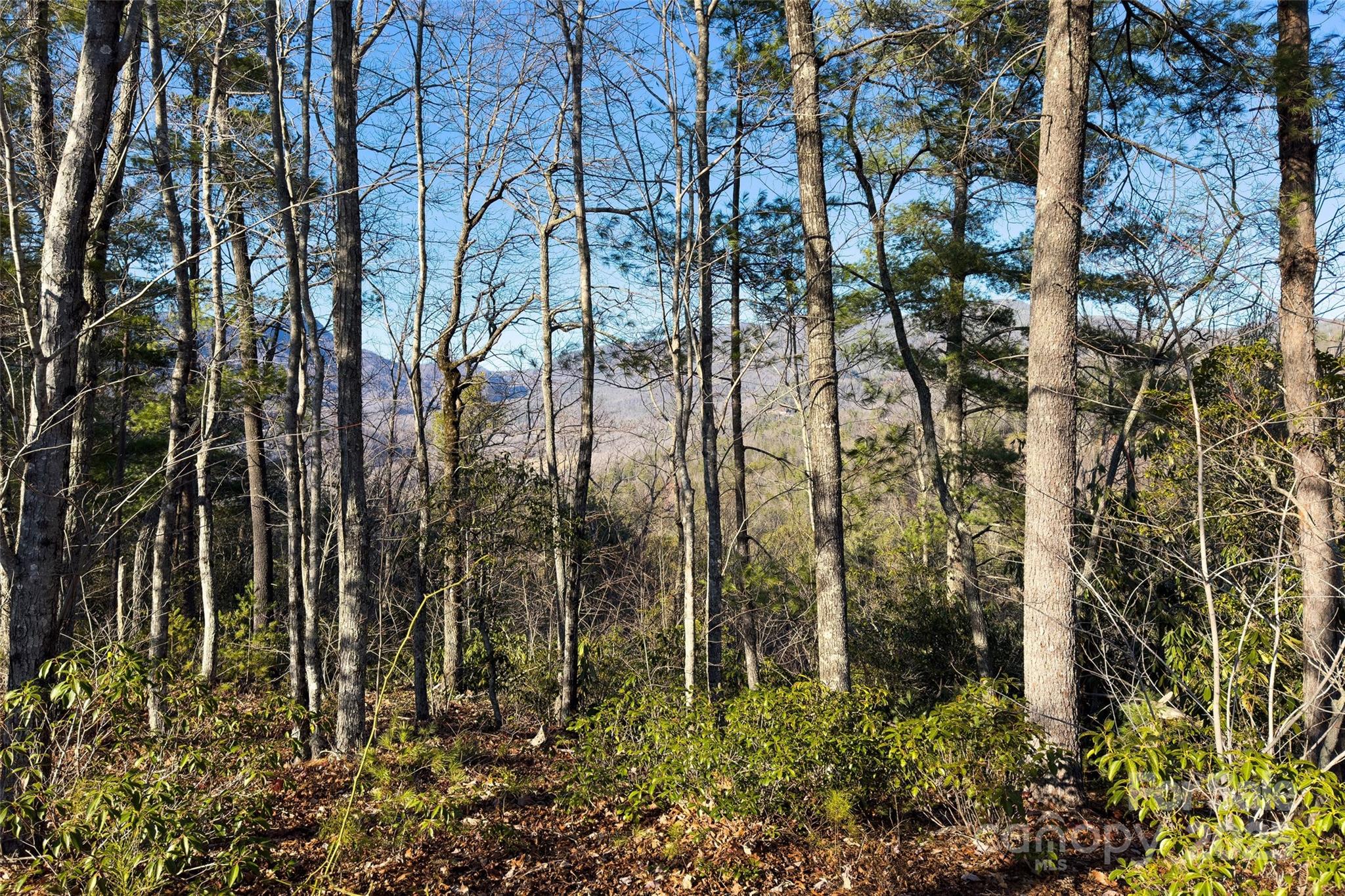 Lot #45 Fox Ridge Trail Marion, NC 28752 - Photo 17 of 29 a backyard of a house with lots of green space