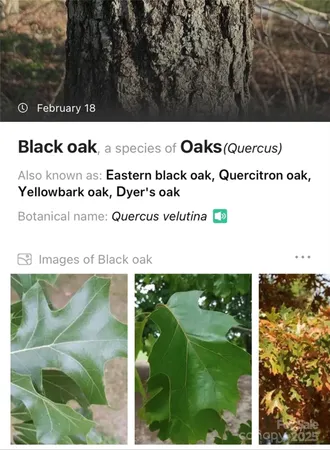 a picture of a park