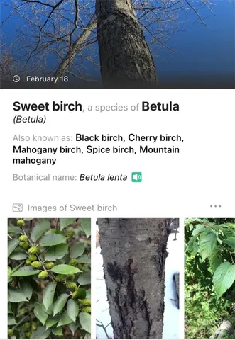 a black and white photo of a garden