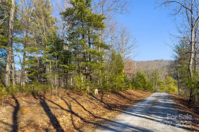 a view of a backyard of the house