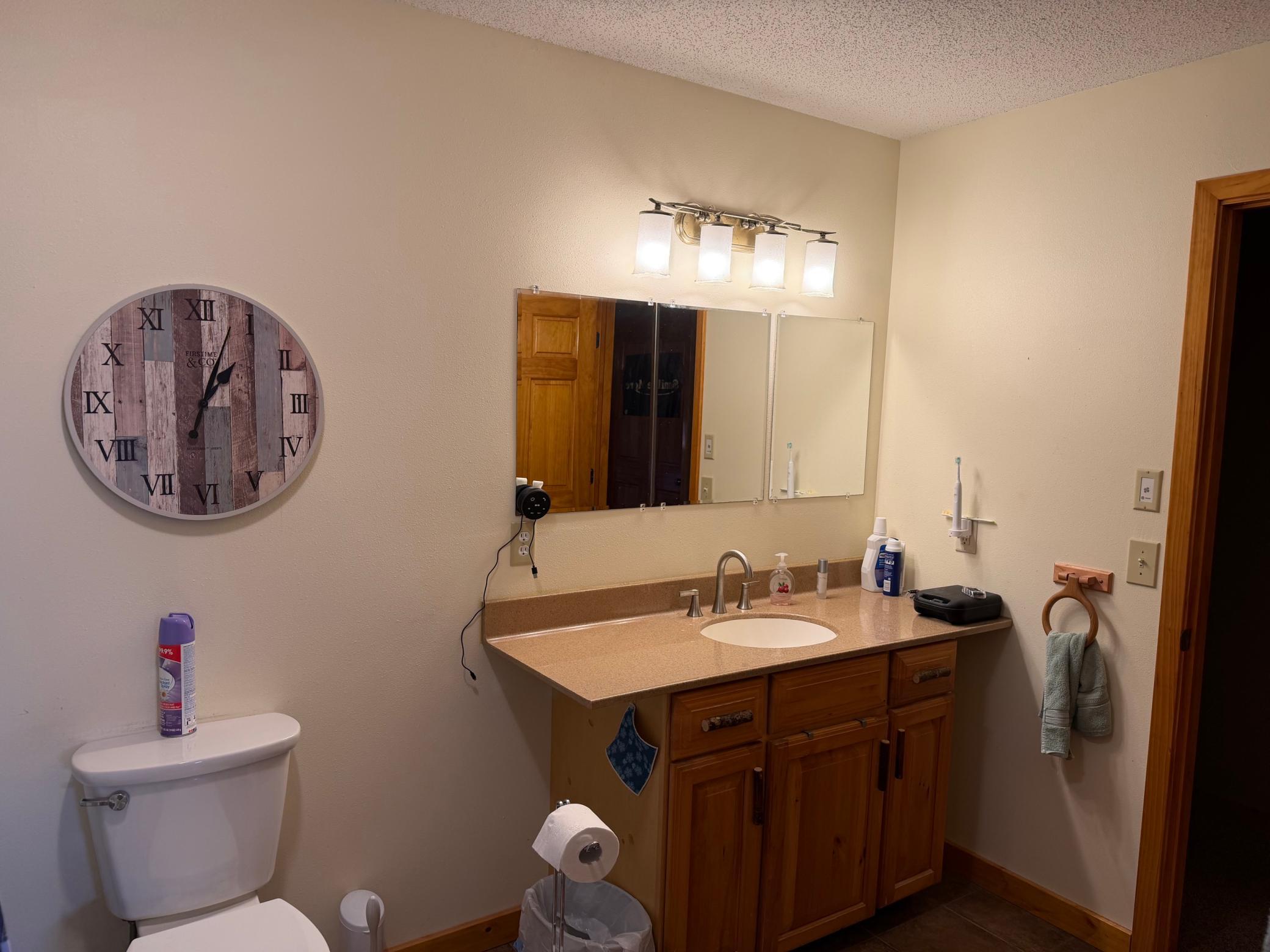 17504 231st Avenue Long Prairie, MN 56347 - Photo 23 of 28