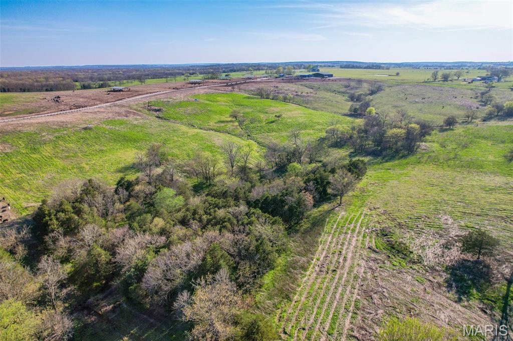 3292 South 107th Road Flemington, MO 65650 - Photo 14 of 69