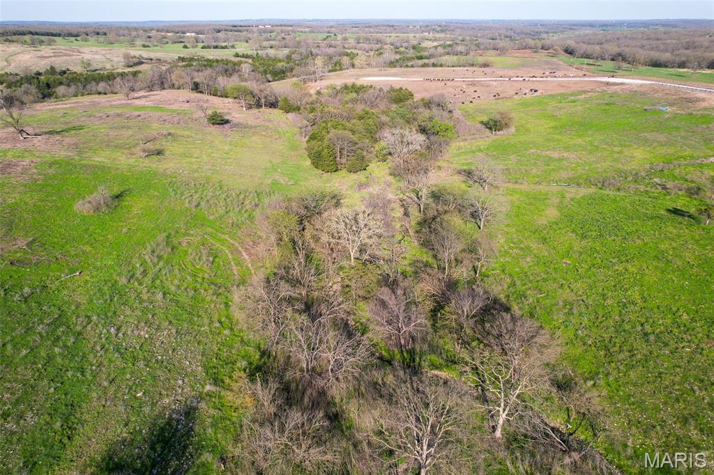 3292 South 107th Road Flemington, MO 65650 - Photo 15 of 69