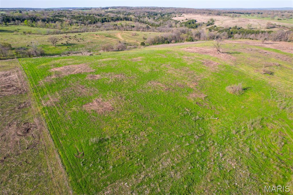 3292 South 107th Road Flemington, MO 65650 - Photo 16 of 69