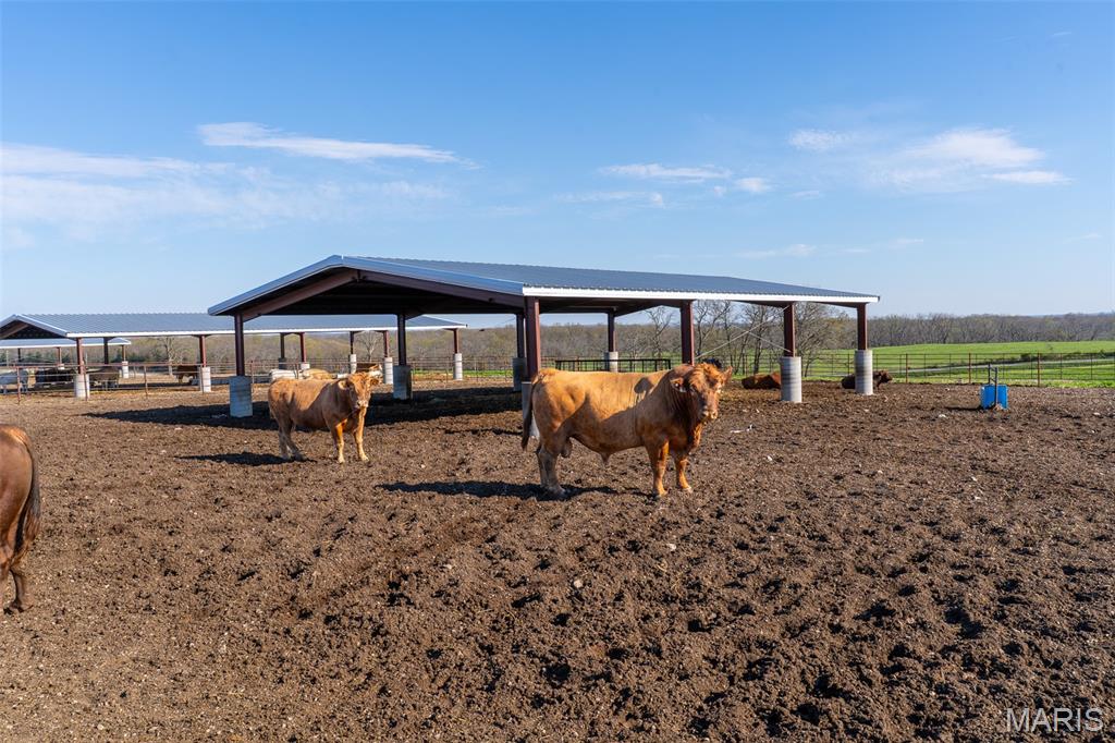 3292 South 107th Road Flemington, MO 65650 - Photo 38 of 69