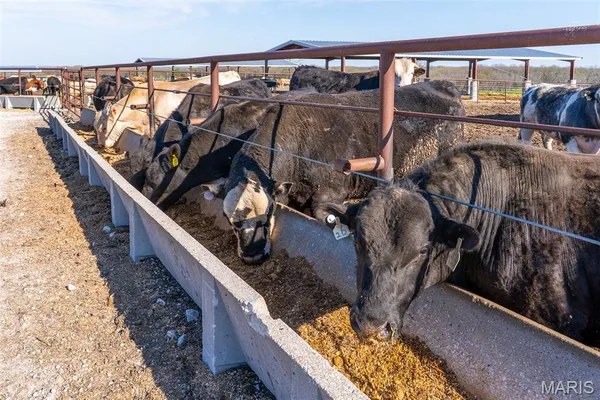 $2,900,000 | 3292 South 107th Road, Flemington, MO 65650