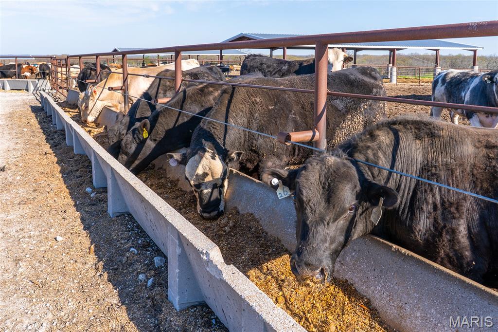 3292 South 107th Road Flemington, MO 65650 - Photo 62 of 69