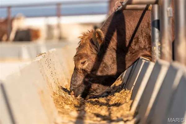 $2,900,000 | 3292 South 107th Road, Flemington, MO 65650