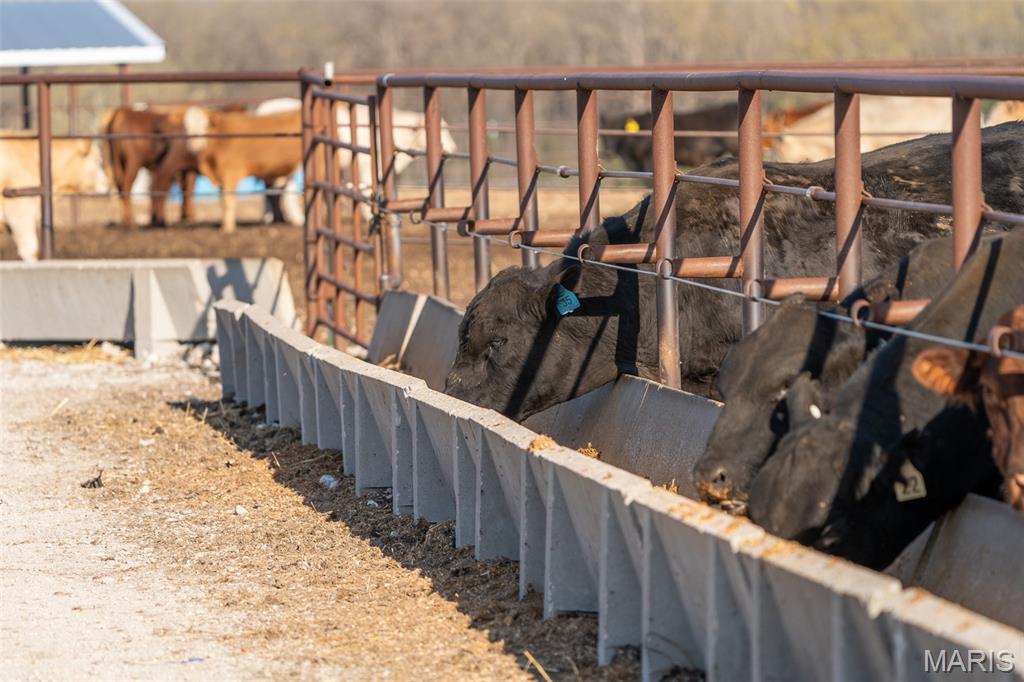 3292 South 107th Road Flemington, MO 65650 - Photo 64 of 69