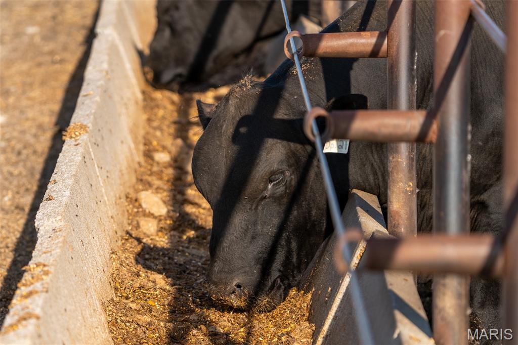 3292 South 107th Road Flemington, MO 65650 - Photo 66 of 69