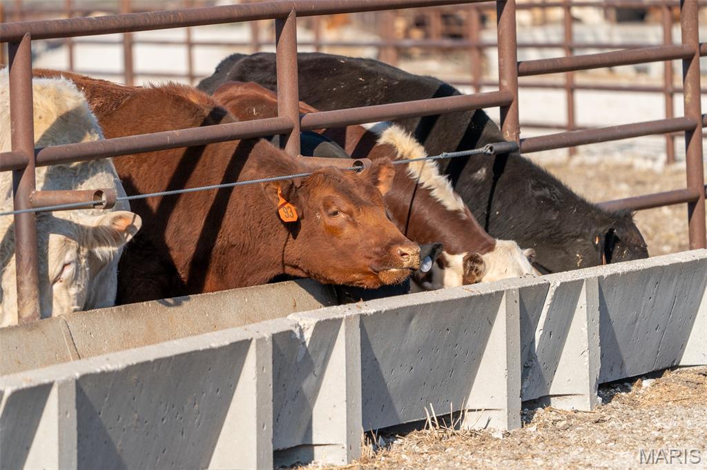 3292 South 107th Road Flemington, MO 65650 - Photo 67 of 69